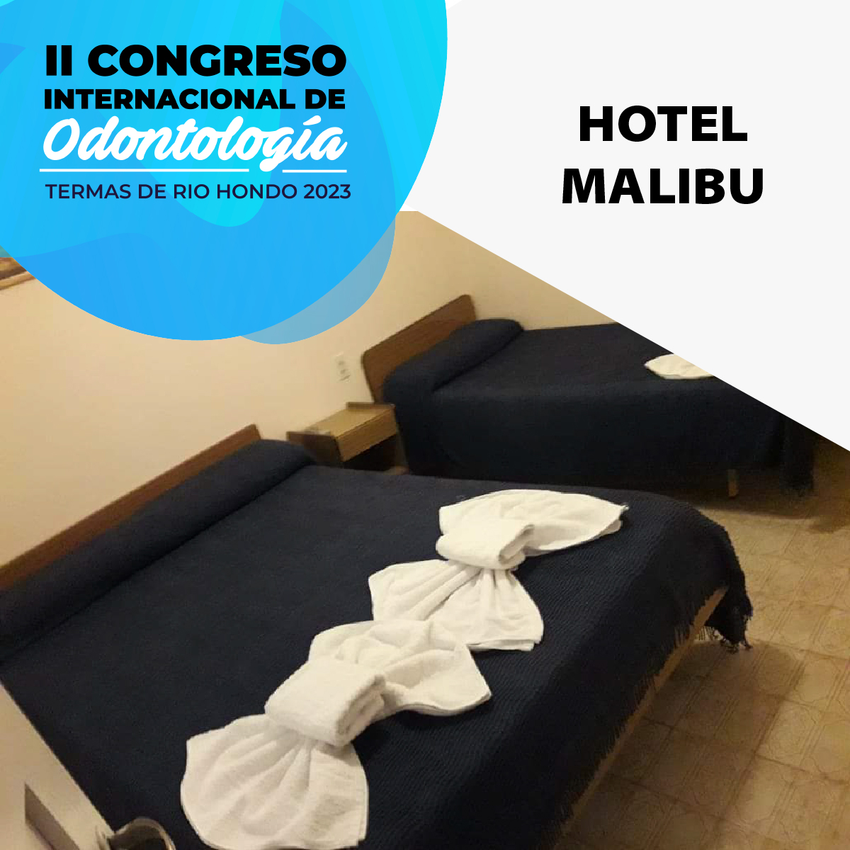 Hotel Malibu<br /> 